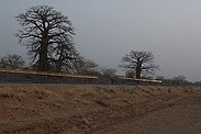 19.01.2007 