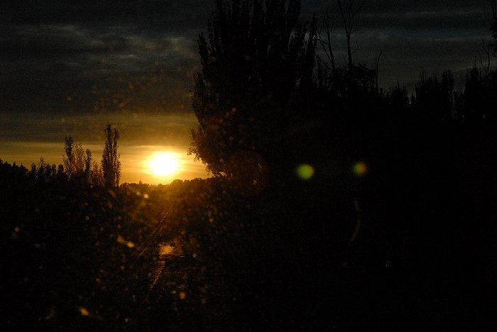 09.01.2009 Jutro