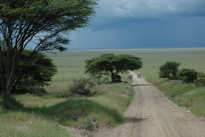 09.05.2006 vhod v Serengeti