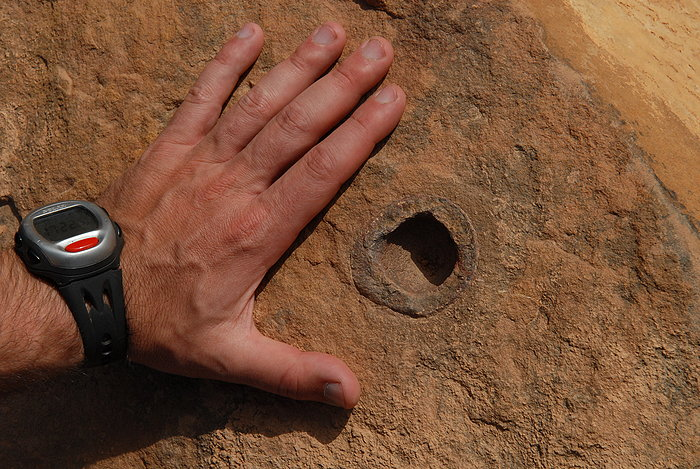 06.05.2007 fosil ali geoda